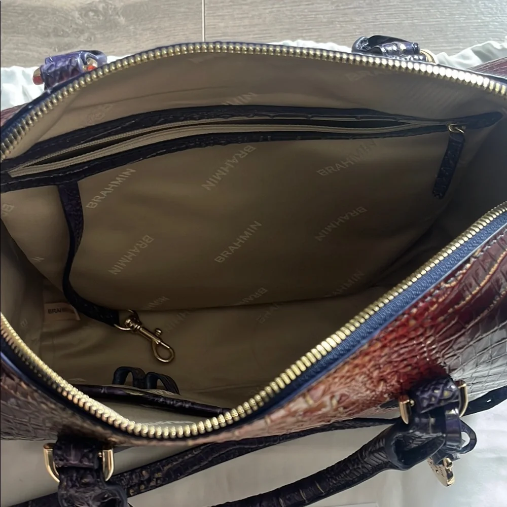 Brahmin Autumn Ombre Mini Melbourne - Picture 7 of 13
